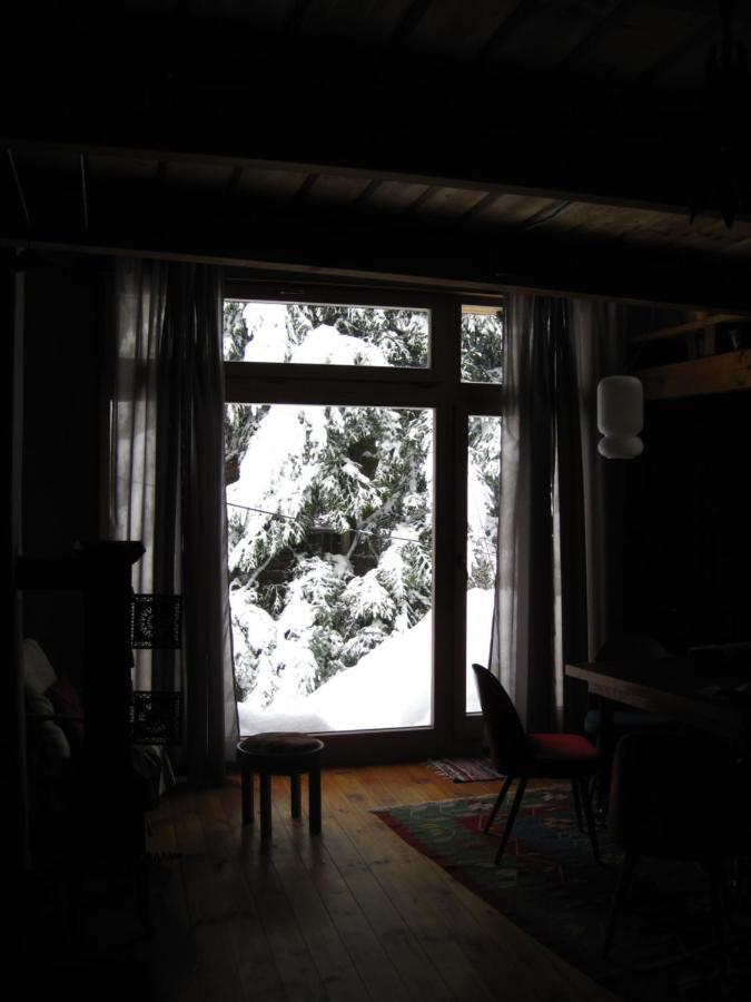 Atelier Eliska Apartment Stare Hory Exterior photo